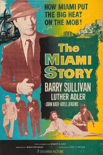 Subtitrare The Miami Story (1954)