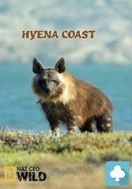 Subtitrare National Geographic - Hyena Coast (2014)