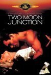 Subtitrare Two Moon Junction (1988)