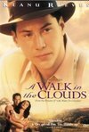 Subtitrare A Walk in the Clouds (1995)