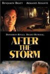 Subtitrare After the Storm (2001)