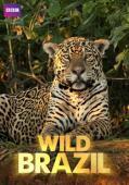 Subtitrare BBC - Wild Brazil (2014)
