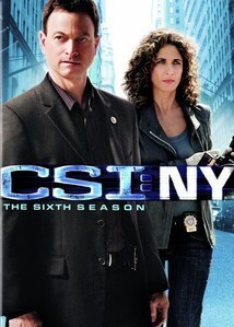 Subtitrare C.S.I.: NY (2004) [CSI: NY]