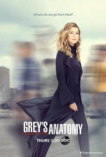 Subtitrare Grey's Anatomy - Sezonul 15 (2018)