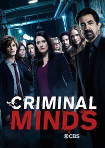 Subtitrare Criminal Minds - Sezonul 8 (2005)