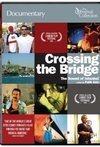 Subtitrare Crossing the Bridge: The Sound of Istanbul (2005)