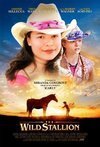 Subtitrare The Wild Stallion (2009)