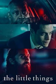 Subtitrare The Little Things (2021)