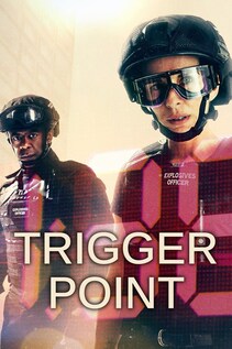 Subtitrare Trigger Point - Sezonul 2 (2022)