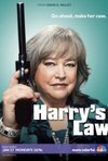 Subtitrare Harry's Law - Sezonul 2 (2010)