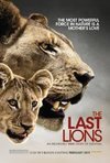 Subtitrare The Last Lions (2011)