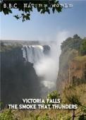 Subtitrare BBC - Natural World - Victoria Falls: The Smoke That Thunders (2009)
