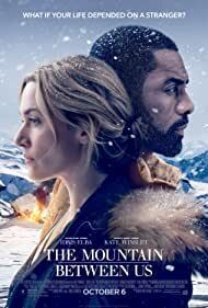 Subtitrare The Mountain Between Us (2017)
