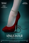 Subtitrare La Vénus à la fourrure (Venus in Fur) (2013)