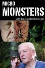 Subtitrare BBC - Micro Monsters with David Attenborough - Sezonul 1 (2013)