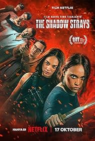 Subtitrare The Shadow Strays (2024)