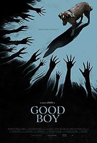 Subtitrare Good Boy (2025)
