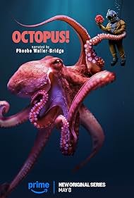 Subtitrare Octopus! - Sezonul 1 (2025)