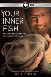 Subtitrare PBS - Your Inner Fish (2014)