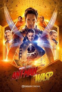 Subtitrare Ant-Man and the Wasp (2018)
