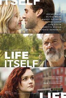 Subtitrare Life Itself (2018)
