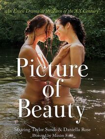 Subtitrare Picture of Beauty (2017)