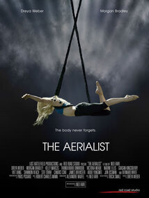 Subtitrare The Aerialist (2020)